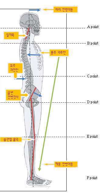 체형분석