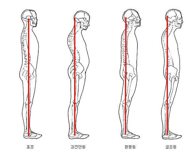 자세
