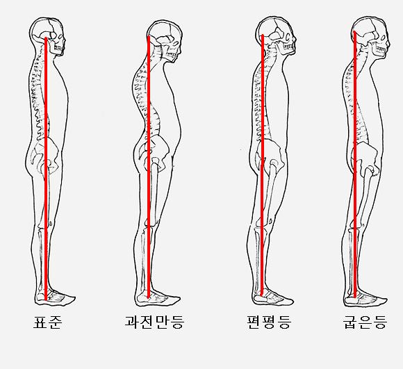 추나요법